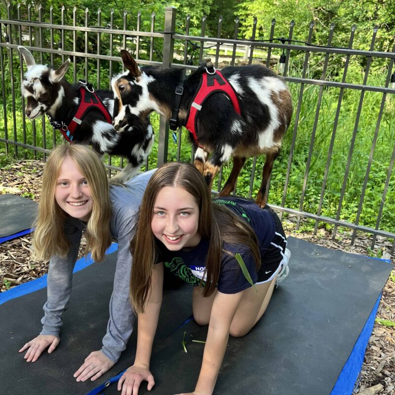 Goat Yoga (HS ONLY) w/ Nature's Trail Yoga